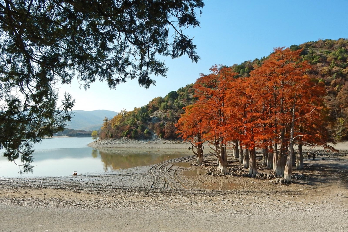 Кипарисовое озеро в анапе осенью фото