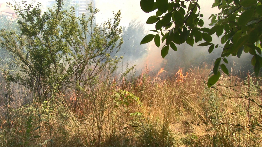 Одна из самых частых причин возникновения пожаров в августе – возгорание травы