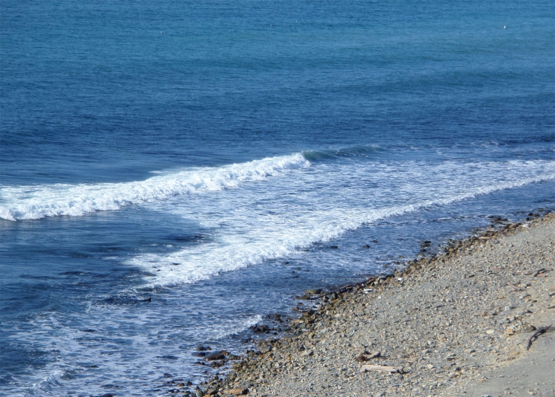 Почему черное море холодное в этом году. Море черного цвета. Просто море.