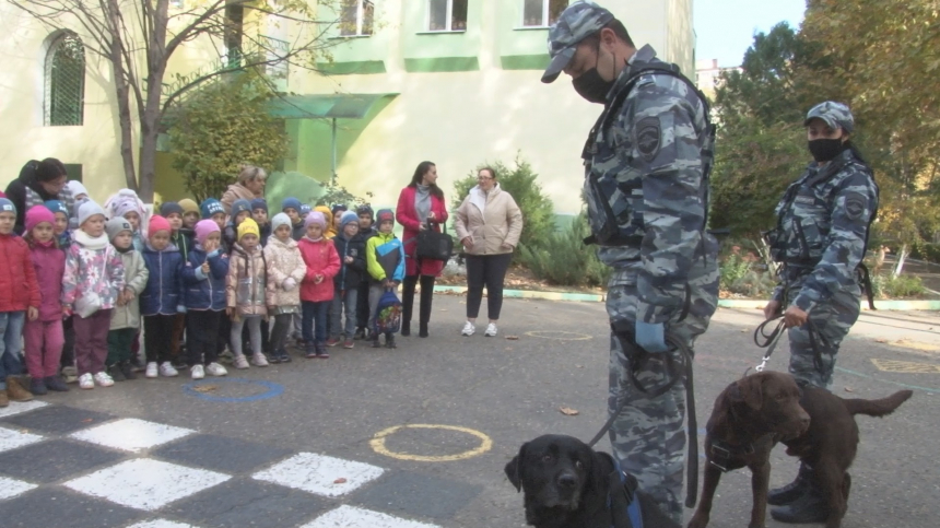 О работе кинологов и служебных собак транспортные полицейские рассказали детям Анапы