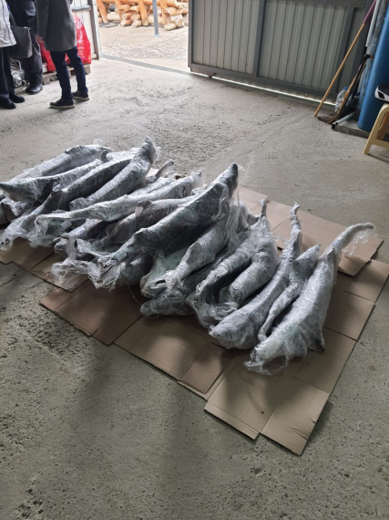 Сотрудники полиции Анапы пресекли незаконную реализацию рыбной продукции