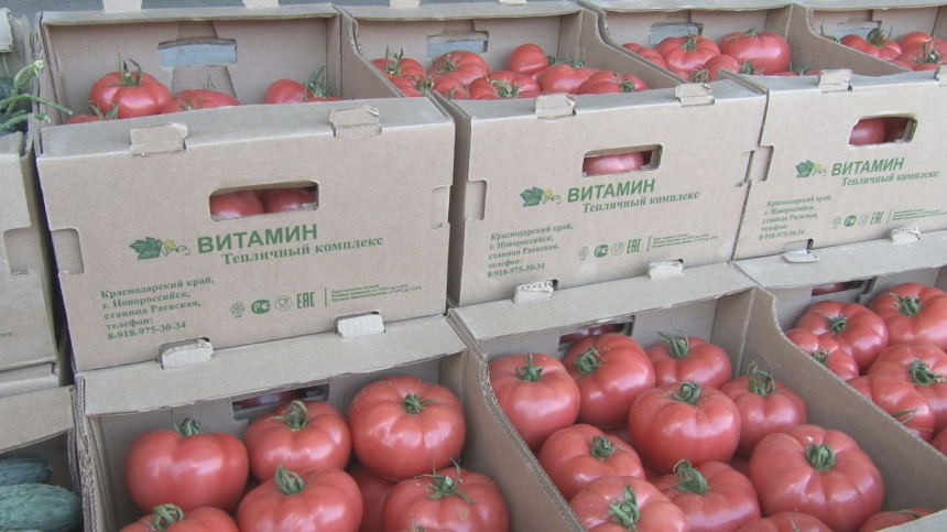 Россия вводит запрет на ввоз помидоров сразу из нескольких стран