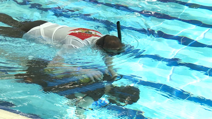 В преддверии Международного Дня Инвалида анапский дайвинг-центр  организовал заплыв с аквалангами