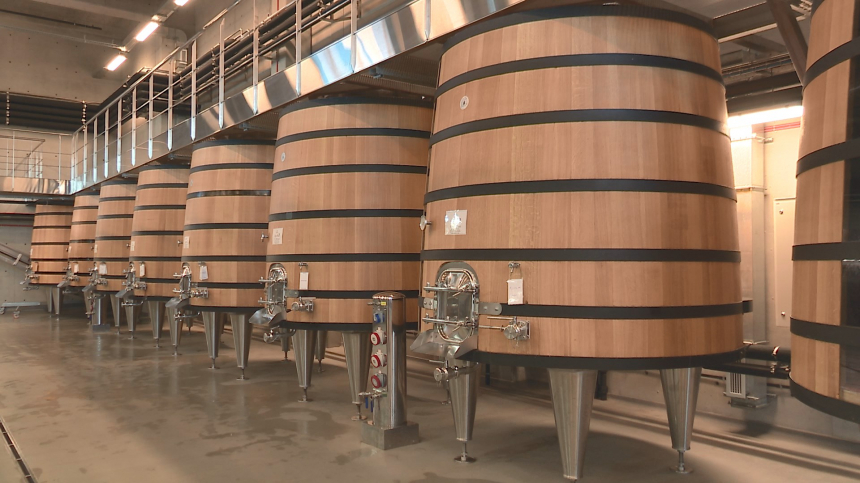 В Анапе открылась гравитационная винодельня «Скалистый берег»