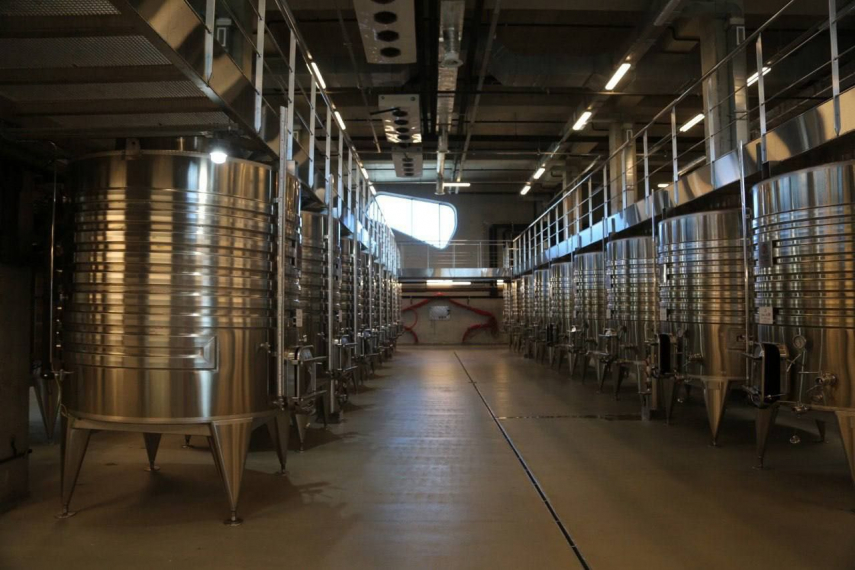 Анапский винодельческий кластер – в числе важнейших инвестпроектов на Кубани