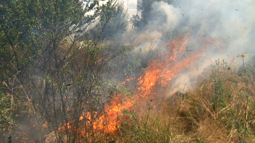 В Анапе продолжает действовать максимальный 5 класс пожароопасности