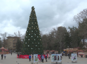 Переработанные новогодние елки используют для благоустройства Анапы