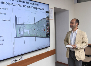 Руководители городских служб обсудили благоустройство Ореховой рощи в Анапе и парка в поселке Виноградный