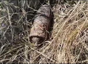 В Анапе снова нашли снаряд времён Великой Отечественной войны