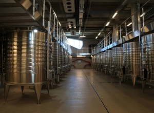 Анапский винодельческий кластер – в числе важнейших инвестпроектов на Кубани